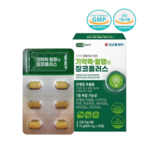 코오롱제약 징코플러스 은행잎추출물 혈액순환 뇌 기억력 혈행개선 영양제, 30정, 2개