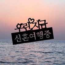 [GOOD] 신혼여행토퍼 여행토퍼 - 신혼여행중, [^^_상품선택_^^]