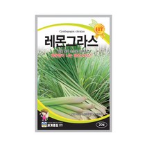 레몬그라스 20립 허브씨앗 레몬향 다년초 열대 아시아, 단품
