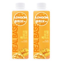 서울팩토리 리얼 망고 베이스 1.2kg 2개세트