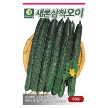 일성 백다다기 오이 씨앗 50립 - 흑침오이 반백오이 오이씨앗 야채씨앗 채소씨앗 채소재배 종묘 종자 베란다 텃밭 씨 씨앗 호박 방울토마, 06_다농_새론삼척 오이(가시오이)(50립)