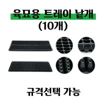 [좋은농자재] 육묘 트레이(낱개-10개), 200구