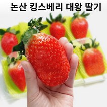 고당도 논산 킹스베리 대왕 딸기 킹딸기 350g 700g 1kg, 킹스베리딸기 700g(40g이상 12~16개입)
