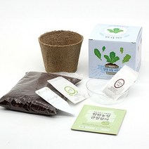 틔움세상 화분재배키트 팜팜농장시리즈 모종 키우기, 강낭콩, 옵션선택