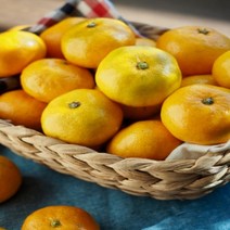 제주 서귀포 하우스감귤 꼬마1kg (2S미만), 꼬마1kg(2S미만)