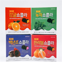 탐나는 제주 종합 쇼콜라 4종 제주감귤 한라봉 녹차 백년초 여행 선물 기념품, 감귤 쇼콜라 4개입