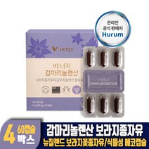 감마리놀렌산 보라지유 보라지오일 보라지꽃 종자유 식물성 에코캡슐 건강기능식품, 4개, 60캡슐