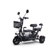세발전기자전거 자토바이 2인용 전동 삼륜 노인 성인, 상세 페이지 참고, 강력한 등반25A 리튬 배터리3인승48V