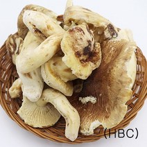 (청림송이 능이) 햇 자연산 냉동송이버섯 (특품), 냉동송이/HBC/1kg, 1개