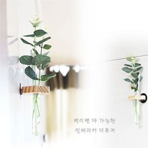 네스네이처 디퓨저 벽걸이디퓨저 벽부착디퓨저 벽디퓨저 인테리어소품 벽인테리어 화병 방향제 국산 핸드메이드 네스네, 향/하와이피치