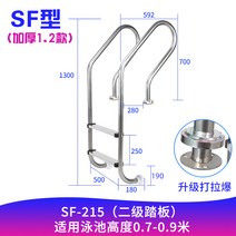 수영장 사다리 펜션 풀빌라 난간 수중 계단, B SF-2 1.2