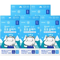 신신제약 쿨링시트 6매 x 5개 / 10시간지속 냉각효과