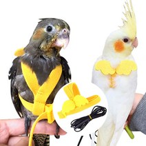 리드줄 앵무새 하네스 반려새 산책 발목링 모란앵무 발목링 날림장 회색앵무 반려 장난감 집 금강앵무, 3-앵무새하네스-M