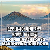 (커피생두) 261 인도네시아 아체 가요 만델링 트리플픽 500g