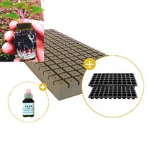 삽목용 오아시스162구+50구트레이 2장+발근력20ml+이름표사은품, 5셋트