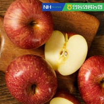 [안동와룡농협] 달달한 꿀맛 빨간 사과 (상품선택), 안동와룡농협 빨간 사과 10kg (33과내)