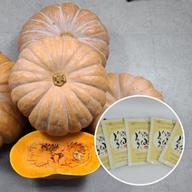 100%국내산 리얼 순수진한 호박즙 100ml 30포, 30개