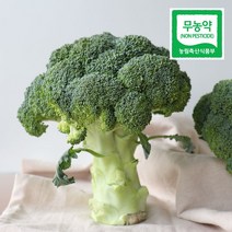 친환경 브로콜리 무농약 3kg 브로코리 브로컬리 반찬 건강식, 1개