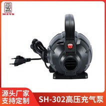 Electric air pump 600W highpressure Camping Utility Tool Air Bed Mat Inflation rubber boat, 1PC_미국