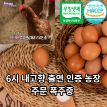 [친환경농법계란] 마미템 무항생제 동물복지 농장직영 맥반석 구운란 구운계란 유정란 참숯 훈제란 30구 60구 90구 초란 중란 대란 특란, 구운유정초란(30구)