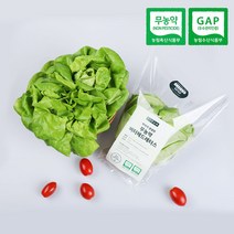 무농약 수경재배 샐러드채소 쌈채소 버터헤드레터스 (6개입)