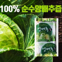 깜짝세일 100% 순수 양배추즙 50+50 총 100포, 양배추즙100포
