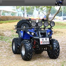 디와이 ATV 125cc 사륜 오토바이크 사바리, 오렌지, 세트 1