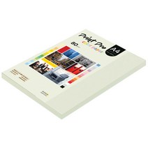 종이문화 프린트프로 칼라복사지 A4 80g No.18 라이트그레이 125매, 125개