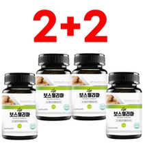 보스웰리아 차세대 2세대 홈쇼핑 코스트코 복합물 6개월분, 보스웰리아 600mg x 360정 6개월분, 6개, 360정