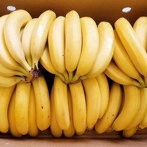 고당도 프리미엄 바나나 1박스 7kg 13kg 대용량 식사대용 아이간식, 1박스(13kg내외) 10송이(송이당 6-10개), 1개