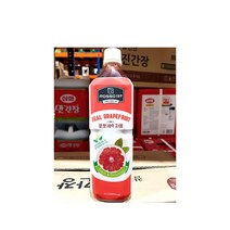 시크점빵 FK 자몽음료베이스(9배희석 1L), 1, 1, 본상품선택