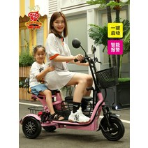 삼륜 전동 스쿠터 오토바이 전동차 성인용 세발, 리튬 배터리 12A 50km  3인승48V