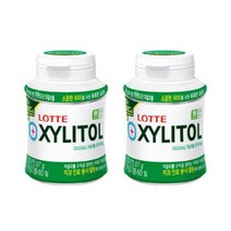 자일리톨 용기 87g 2개 간식 츄잉 껌 여러개 과자