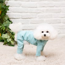 펫디자인 휘트니스 올인원, 민트
