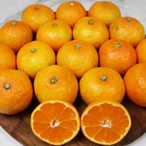 제주 노지 감귤 로얄 5kg