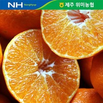 [기타] 제주 위미농협 레드향 5kg(16-25과), 상세 설명 참조