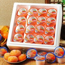 푸르젠 [푸르젠] 청도 아이스홍시 개별포장 42g*24개, 상세 설명 참조, 상세설명 참조, 1