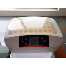 병아리 부화기 계란 알 의 농장 부화장 기계 42 저렴한 가격 치킨 자동 인큐베이터 조류 메추라기 Brooder, White_110V