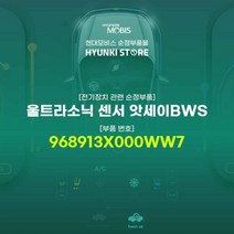 현대모비스 울트라소닉 센서 앗세이BWS (968913X000WW7)
