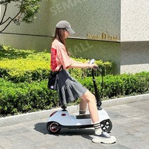 전동킥보드 전기킥보드 전동스케이트보드 전동킥보드여성 킥보드 전동자전거, 24V, A