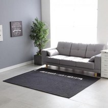 셔닐 솔리드 예쁜 원룸 겨울 러그 200x250cm, 솔리드 러그 베이지_200x250cm