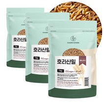 호라산밀 통곡물 원물 100%, 3팩