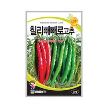 칠리빼빼로고추 30립 / 텃밭 종자 고추씨앗 고추종자, 단품