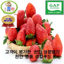 [천안 명품 로컬푸드] 명절 선물용 국내 최초 로컬푸드 온라인 전용매장 농부생산 당일 수확 발송 프리미엄 햇 설향 딸기 700g 24구 35구(왕특 2박스주문딸기즙증정), 35구(중)
