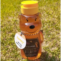 땔낭구네 친환경 자연 숙성 천연꿀 500g, 1개