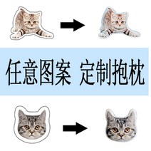 반려동물 고양이 강아지 포토쿠션 diy 아이스크림 콘 이색 쿠션 주문제작 선물 사진쿠션 포토인형 양면인쇄, 맞춤 쿠션