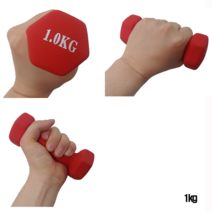 GO 아령 덤벨, 1kg, 1개