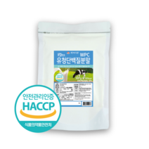백세식품 WPC유청단백질분말100% 500g 독일산 HACCP 인증제품, 1개