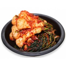 국내산 깔끔 아삭 맛있는 총각김치 알타리 달랑무 김치 2kg 3kg 5kg, 총각김치2kg