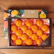 (롯데백화점)제주 레드향 4.5kg 20-26과 과일선물세트